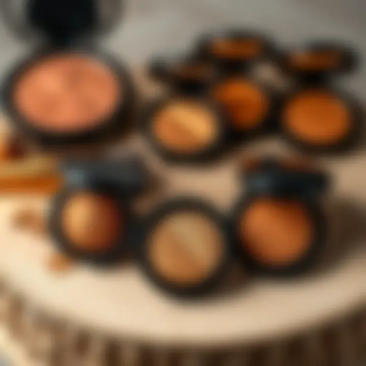Bronzer Finishes Overview Different bronzer finishes displayed