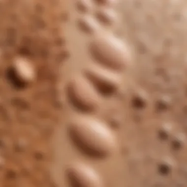 Close-up of skin texture illustrating different skin types