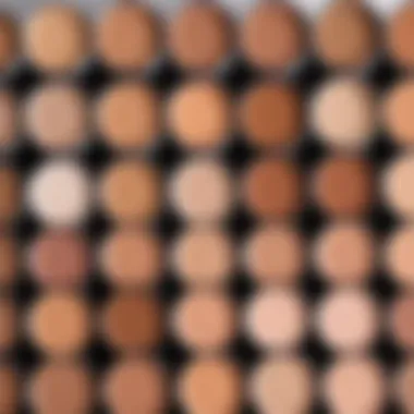 Diverse foundation shades representing various skin tones