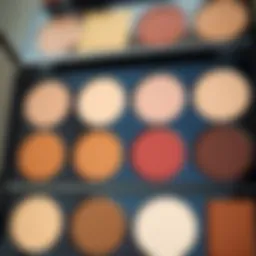 Color palette showcasing corrector shades for various skin tones