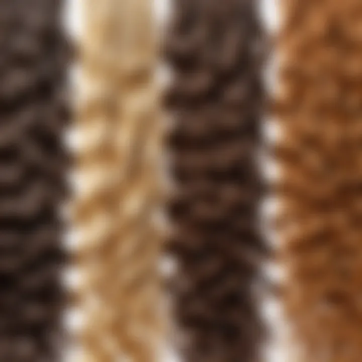 A diverse range of hair types illustrating the variety of natural waves.