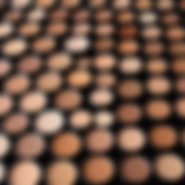 An array of foundation shades tailored for diverse skin tones.