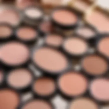 A serene palette of nude and blush cosmetic shades arranged artistically.