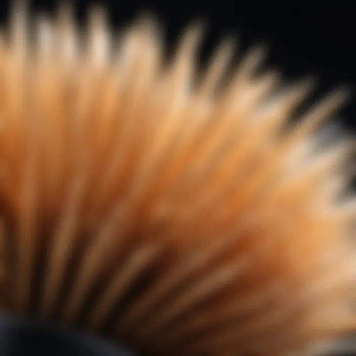 Close-up of brush bristles