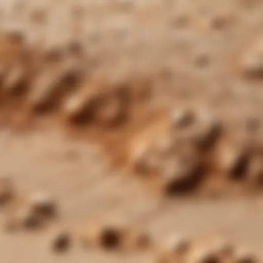 Close-up of foundation on dry skin showing texture