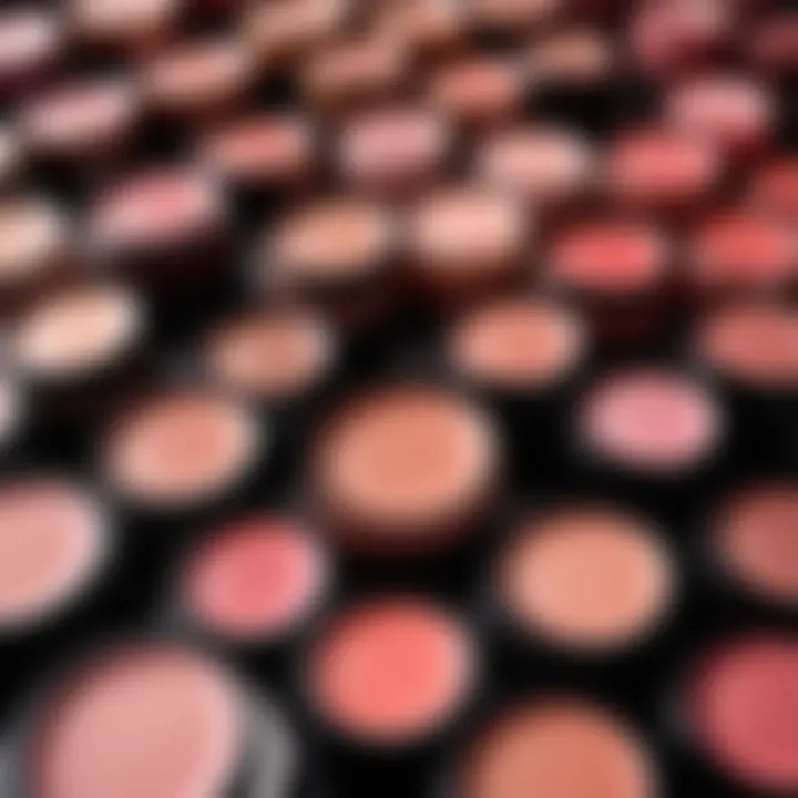 Diverse liquid blush shades arranged elegantly