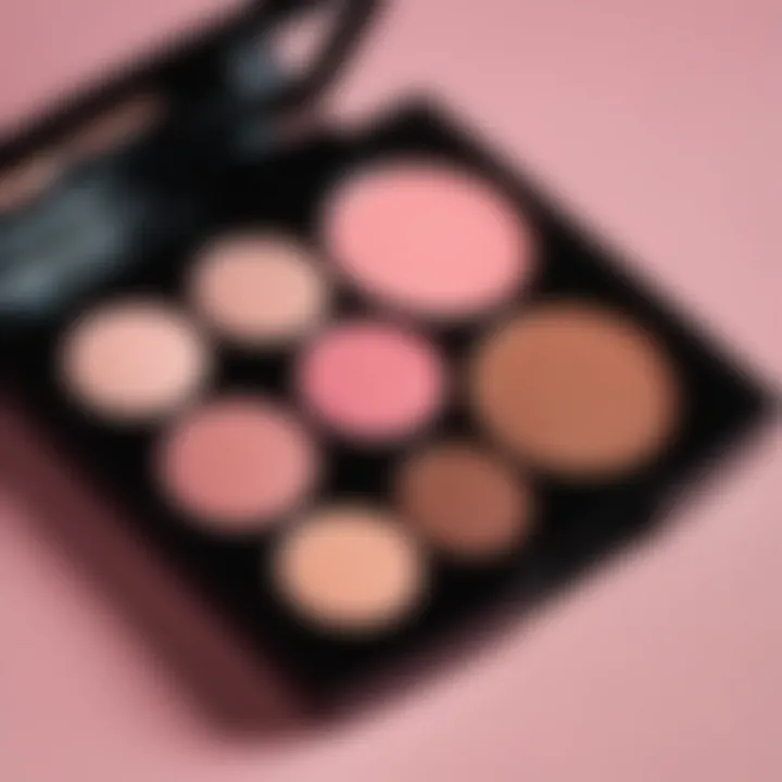 Close-up of coffee undertone pink blush on a makeup palette