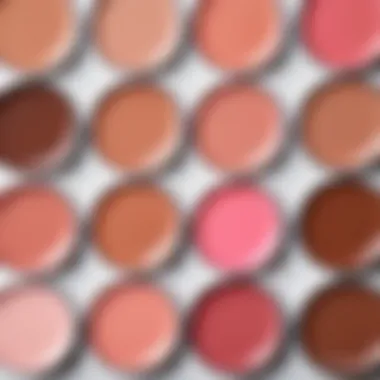 Swatches of different coffee undertone pink blushes