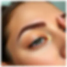 Elegant eyebrows showcasing a natural arch