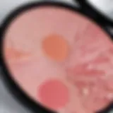 Close-up view of liquid blusher on a makeup palette