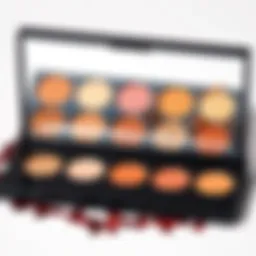 A palette showcasing various makeup shades suitable for different skin tones