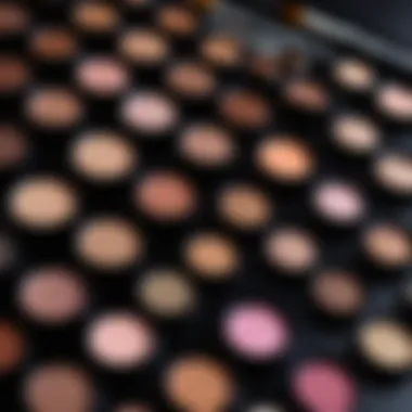 Eyeshadow brushes and vibrant shades