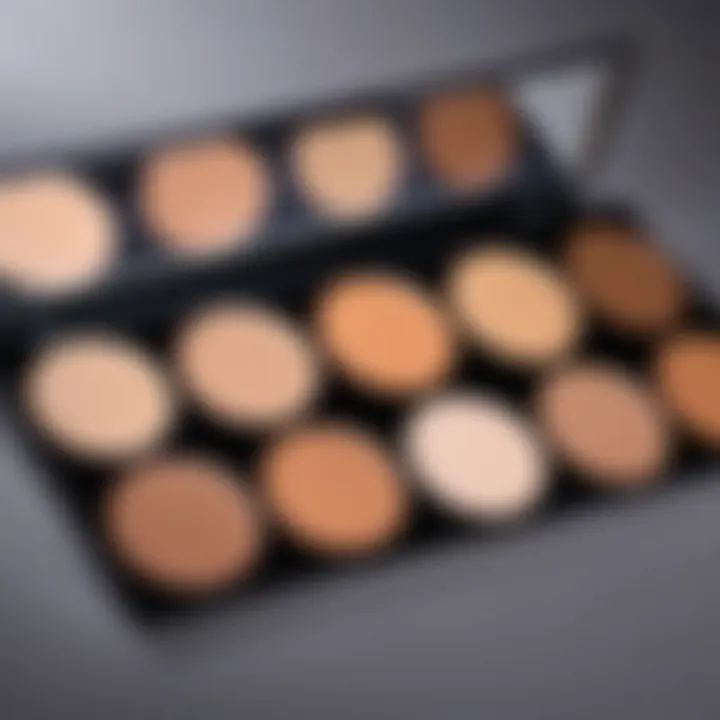 Palette showcasing various shades of dewy concealers