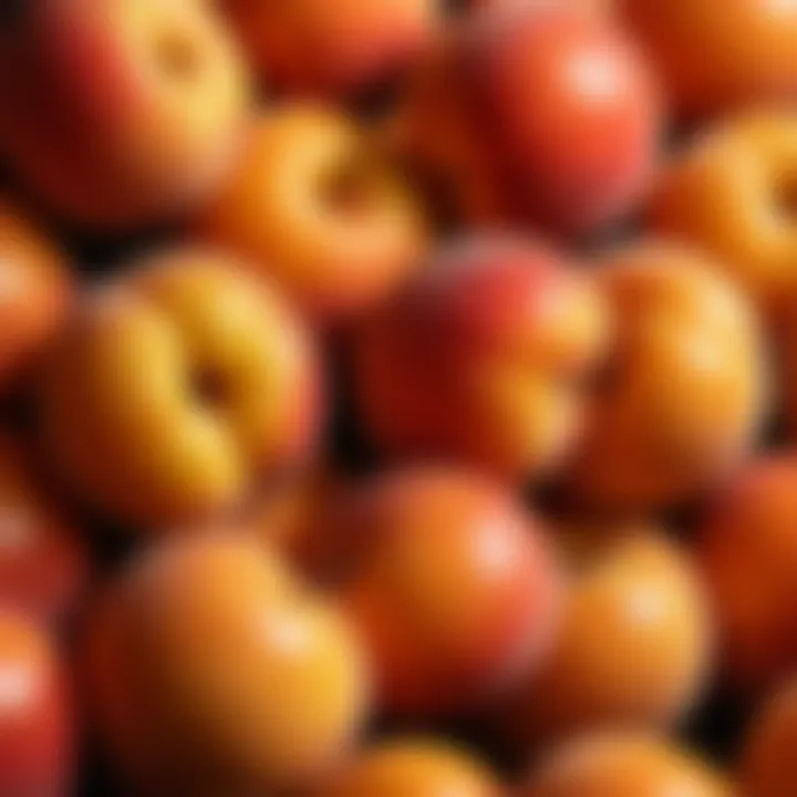 Close-up of peach tones that complement various skin types