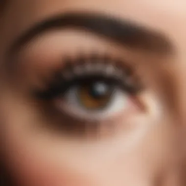 Close-up of individual false eyelashes showcasing their fine texture