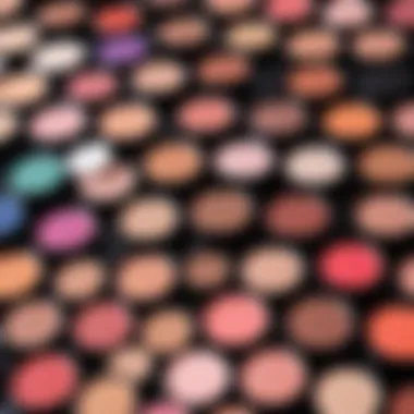 Diverse Product Selection for Creative Expression A vibrant palette showcasing an extensive range of makeup products