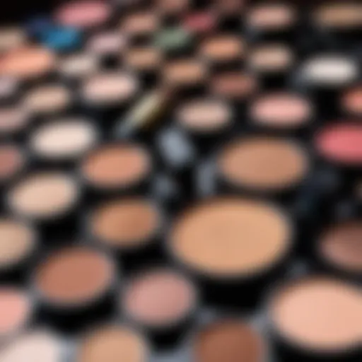 A close-up view of diverse makeup products arranged aesthetically.