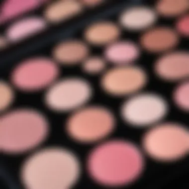 Close-up of a makeup palette featuring pink undertones