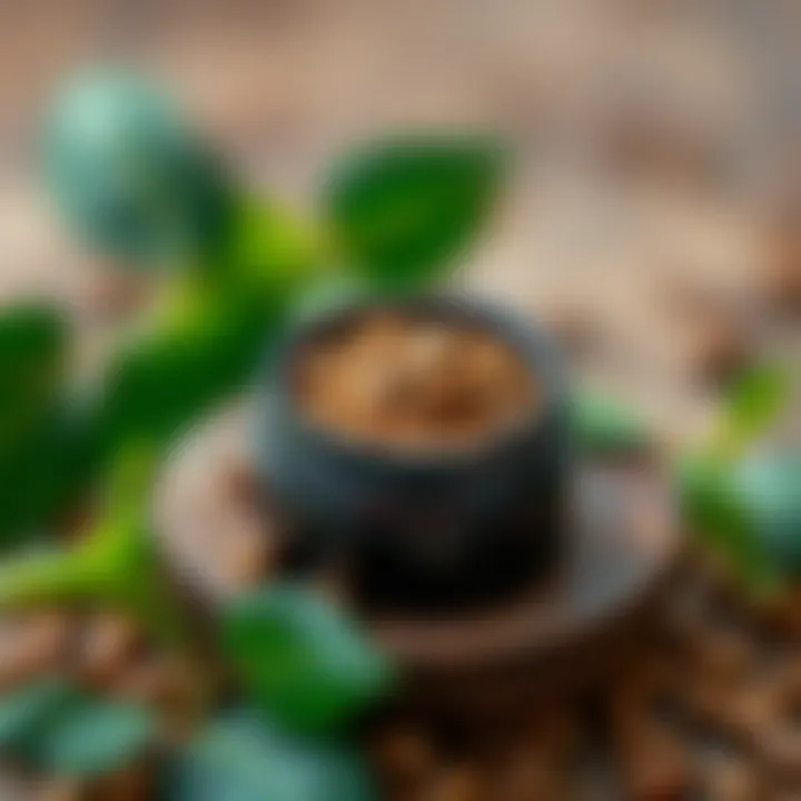 Core Ingredients of Earth Makeup Essential ingredients for earth makeup