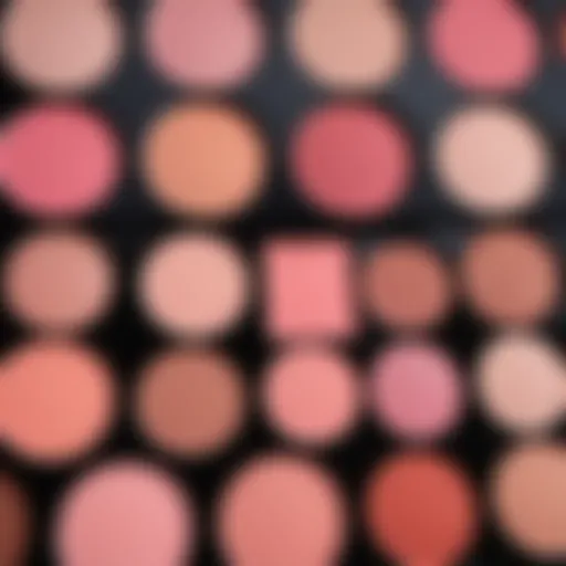 A spectrum of blush shades on a makeup palette