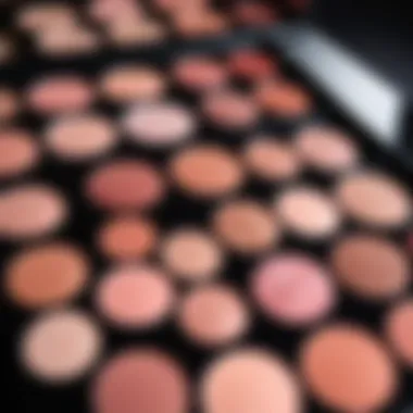 A close-up view of a blush palette showcasing various hues and textures.