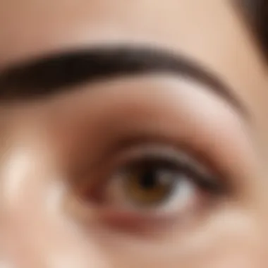 Detailed Anatomy of Eyebrows Illustration of eyebrow anatomy showcasing hair follicles and skin structure