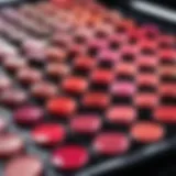 A vibrant array of lip colors displayed on a palette