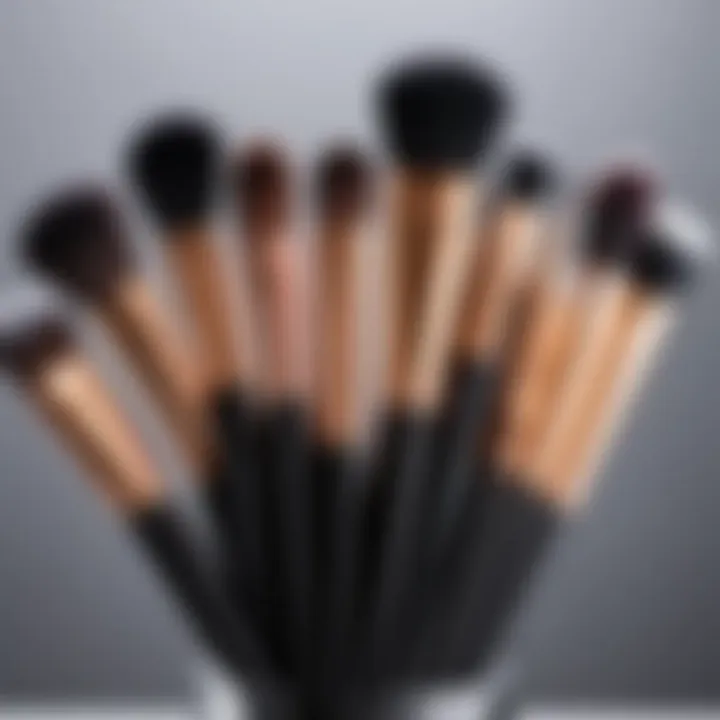 A curated selection of essential makeup brushes arranged elegantly