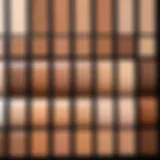 Color swatches showcasing various foundation shades