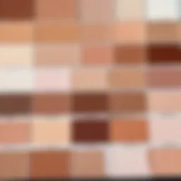 Color swatches demonstrating various skin tones