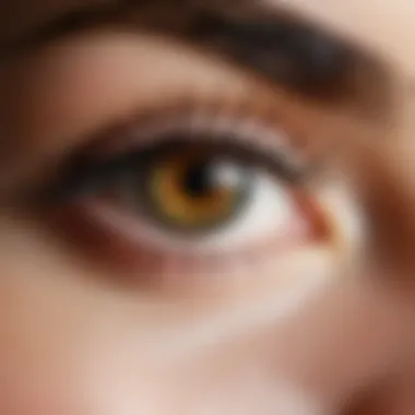 Natural Ingredients for Eyelash Care An array of natural ingredients including Vitamin E for eyelash care