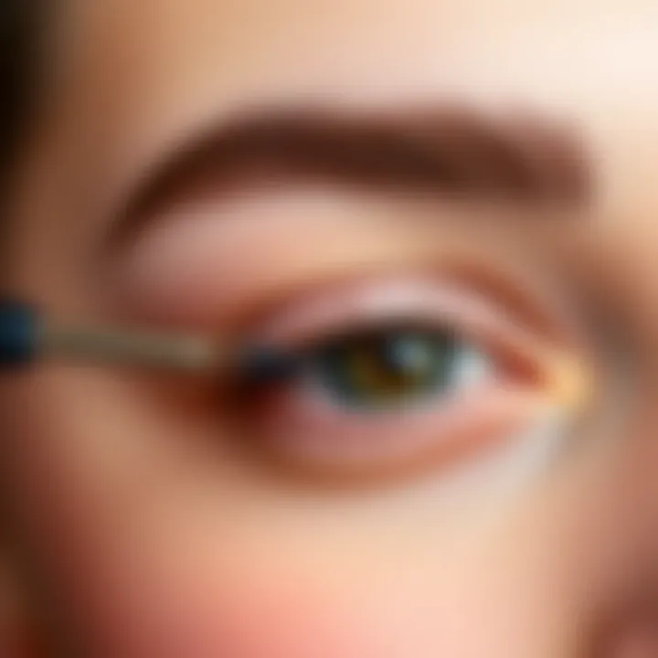 Perfectly Groomed Round Eyebrows Close-up of well-groomed round eyebrows
