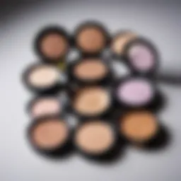 A beautifully arranged selection of face powders in various shades