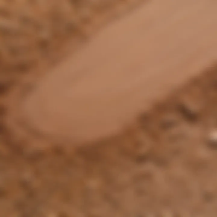 Close-up view of foundation texture and sheen